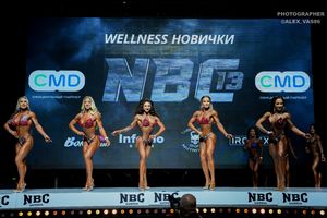 WELLNESS НОВИЧКИ